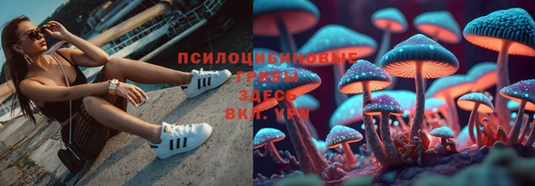 2c-b Баксан