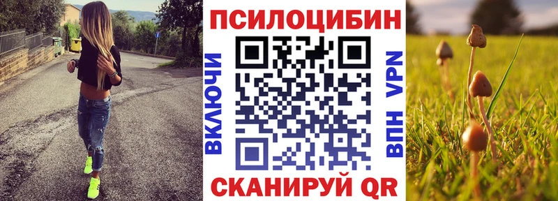 хочу hydra как войти Псилоцибиновые грибы мицелий Балахна